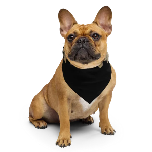 Urban Off-road Bandana