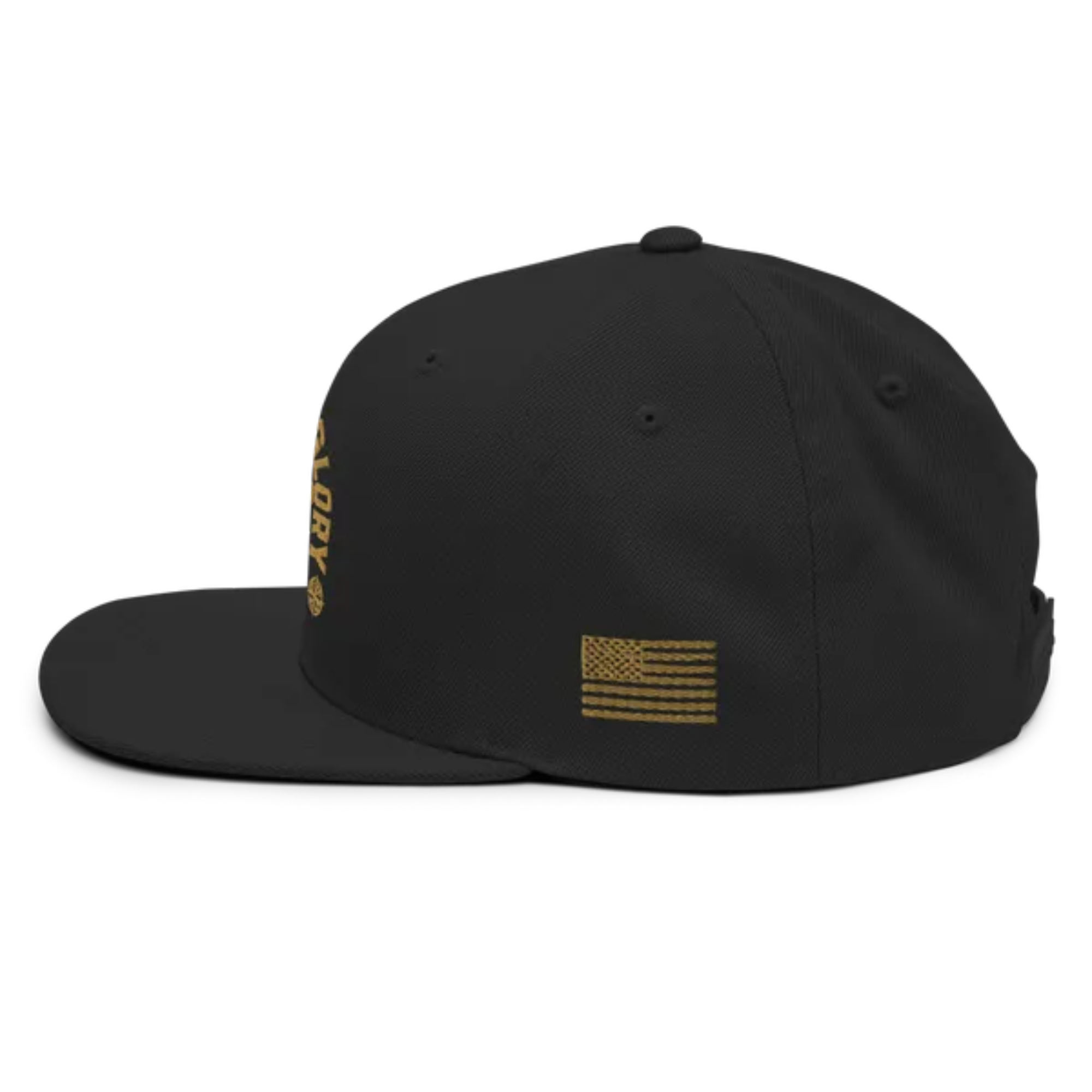 Fortune and Glory snapback hat